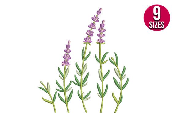 Lavender Wildflowers